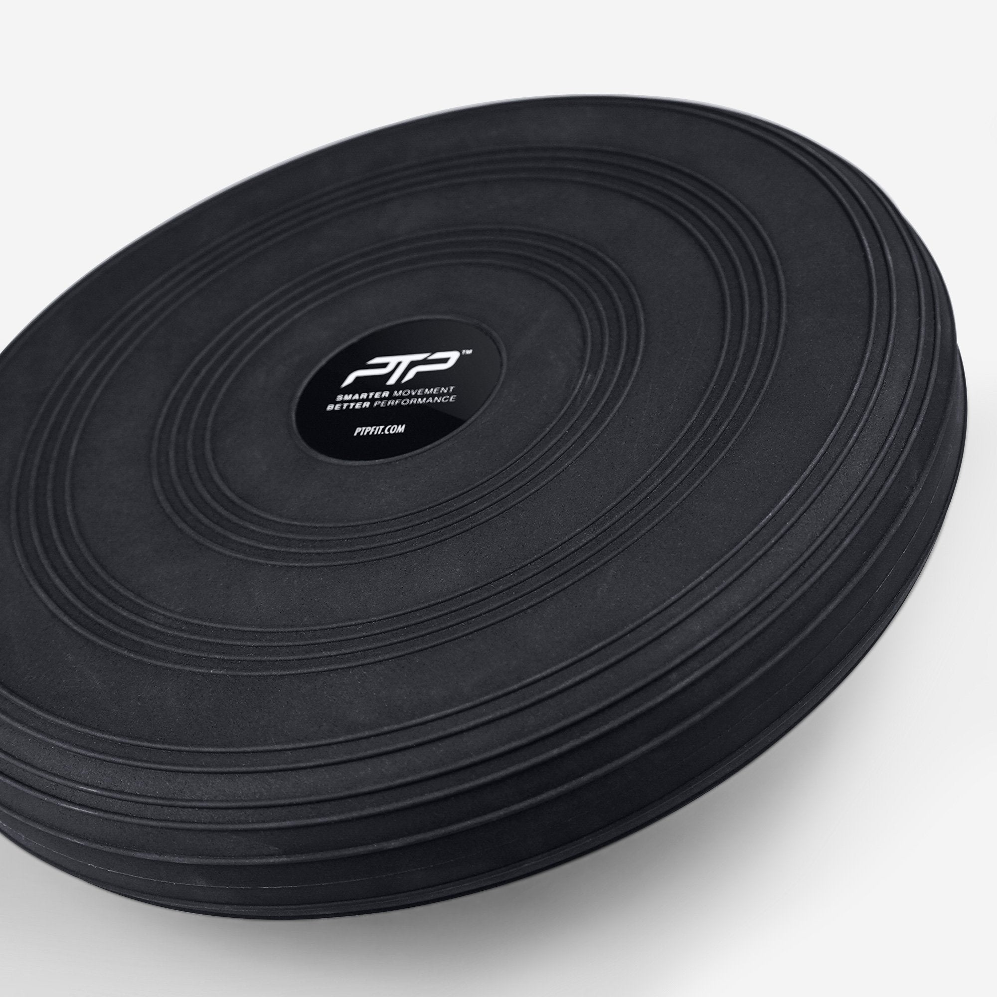 STABILITY DISC
